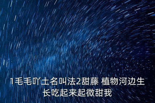 安徽有個什么林紙業(yè)，坐幾路公交車去安徽華泰林漿紙有限公司