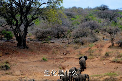 長(zhǎng)安生化是什么呢，生化是指什么呀