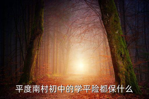 學平險保些什么，中國人壽60元的學平險保什么