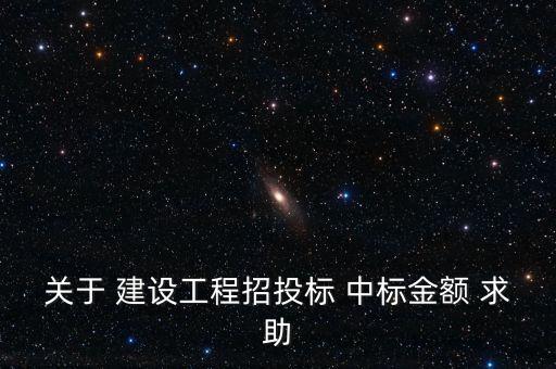 關于 建設工程招投標 中標金額 求助