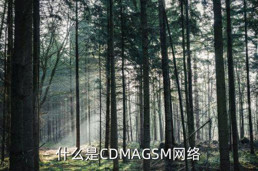 電信cdma是什么網(wǎng)絡(luò)，cdma是什么網(wǎng)絡(luò)