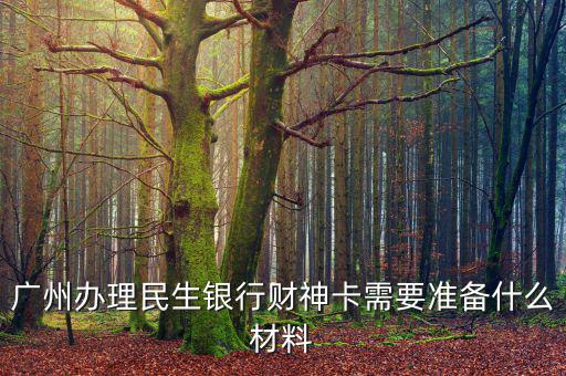 廣州辦理民生銀行財神卡需要準(zhǔn)備什么材料