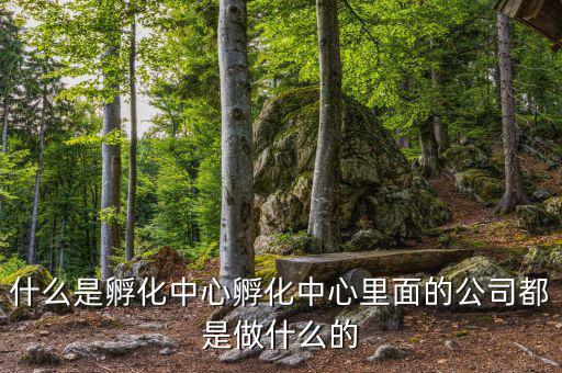 信隆實(shí)業(yè)是做什么的，什么是孵化中心孵化中心里面的公司都是做什么的