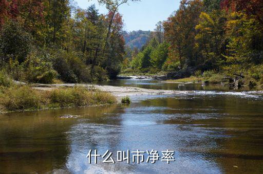 市凈率代表什么，市凈率代表什么