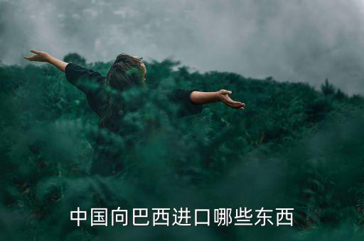 美國(guó)從巴西進(jìn)口什么，中國(guó)向巴西進(jìn)口哪些東西