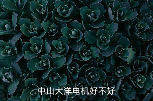 中山大洋電機屬于什么行業(yè)，中山大洋電機好不好