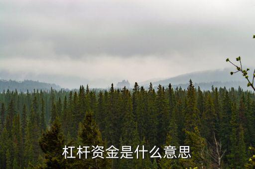資金杠桿是什么意思，投資里面的杠桿是什么意思