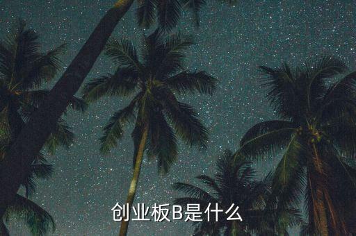 創(chuàng)業(yè)板b杠桿是什么，創(chuàng)業(yè)板B是什么