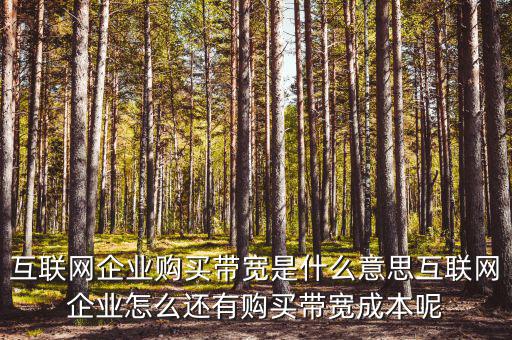 帶寬采購(gòu)是什么意思，請(qǐng)問(wèn)帶寬出口批發(fā)是什么出口的定義是 麻煩幫幫忙