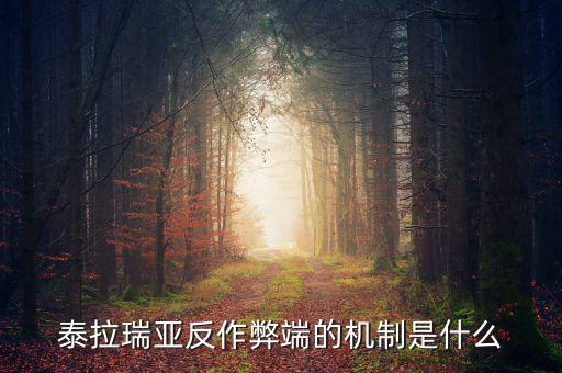 什么是反舞弊機制，google廣告聯(lián)盟反作弊系統(tǒng)原理嗎
