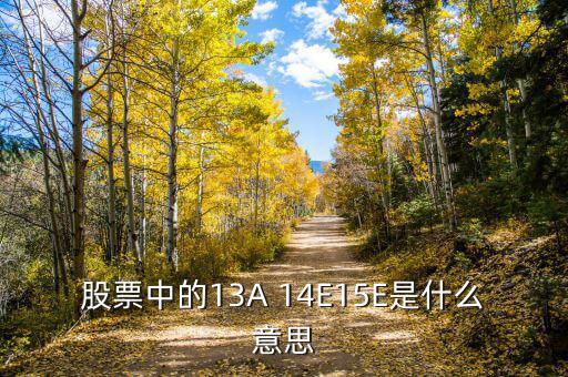 市盈率13a什么意思，財(cái)務(wù)報(bào)表中13A 14E 是什么意思