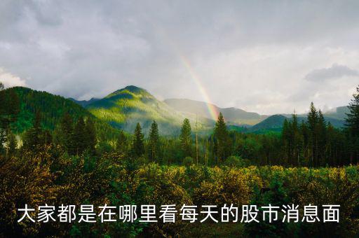 每天的股票信息看什么網(wǎng)站，大家都是在哪里看每天的股市消息面