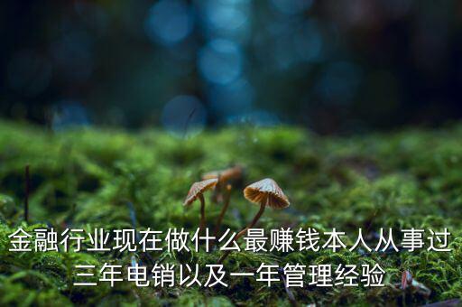 金融行業(yè)現在做什么最賺錢本人從事過三年電銷以及一年管理經驗