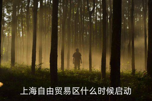 上海自貿(mào)區(qū)什么時(shí)候開放，上海自由貿(mào)易區(qū)什么時(shí)候啟動(dòng)
