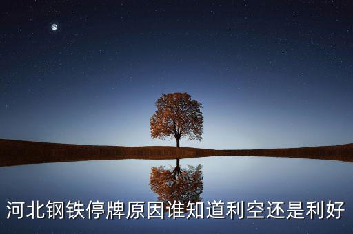 河北鋼鐵為什么停牌，邯鄲鋼鐵長期停牌究竟為何