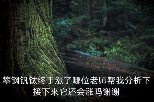 攀鋼釩鈦終于漲了哪位老師幫我分析下接下來它還會(huì)漲嗎謝謝