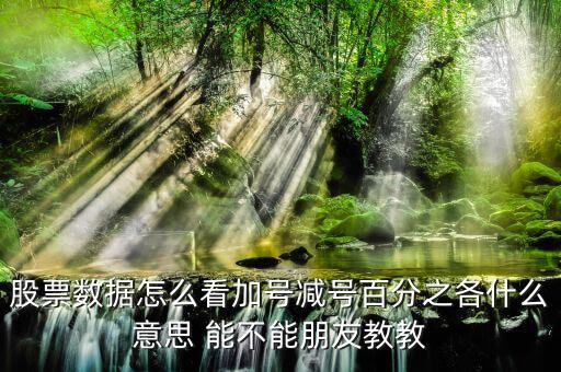 證券如何看漲停加減什么意思，漲停時買一后邊的數加減是什么意思