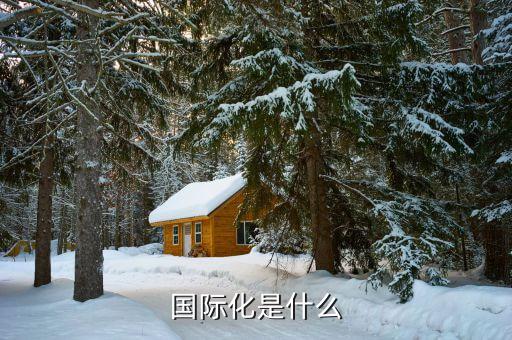 國際化的本質(zhì)是什么，經(jīng)濟全球化的本質(zhì)是什么