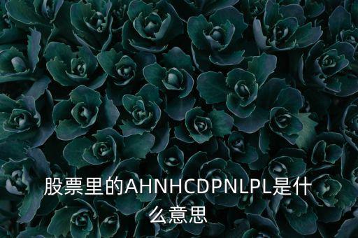 股票nl是什么意思，股票里的AHNHCDPNLPL是什么意思