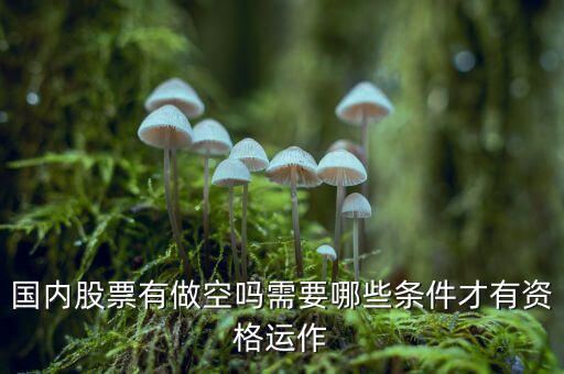 什么股票才可以做空，同花順里面有沒(méi)有可以做空的股票