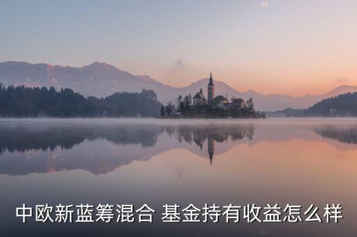 中歐新藍籌混合 基金持有收益怎么樣