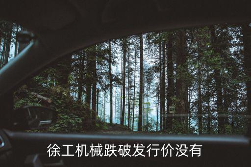 徐工機械什么時候復權(quán)，徐工機械何時復牌