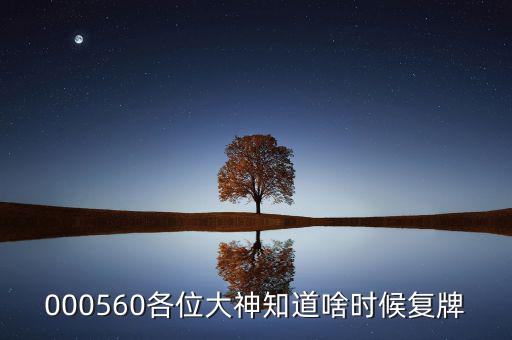 000560各位大神知道啥時候復牌