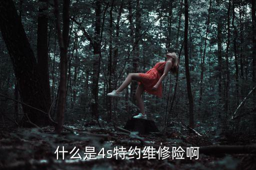 什么是4s特約維修險(xiǎn)啊