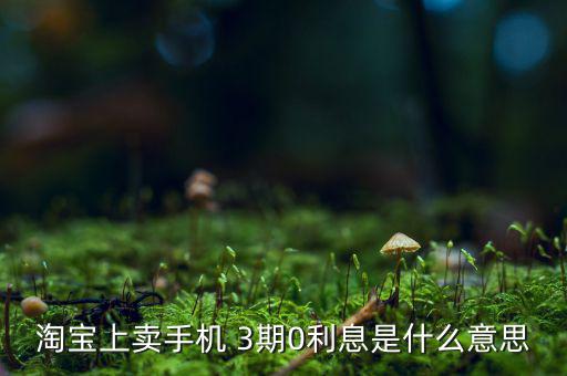三零分期什么意思，淘寶上賣手機(jī) 3期0利息是什么意思