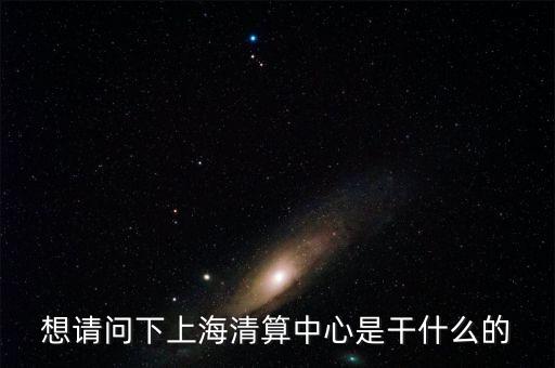 想請(qǐng)問(wèn)下上海清算中心是干什么的