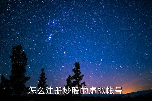 虛擬證券賬戶是什么，什么叫股票的虛擬賬戶