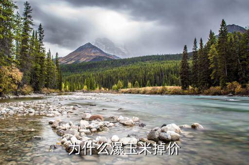 玉米價(jià)格為什么下跌，現(xiàn)在的玉米價(jià)格是多少為什么糧食價(jià)格下跌