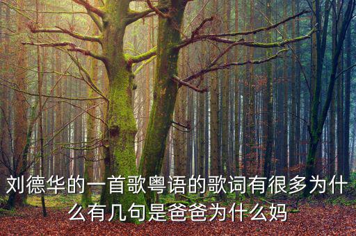 法為什么對(duì)is空襲，劉德華的一首歌粵語(yǔ)的歌詞有很多為什么有幾句是爸爸為什么媽