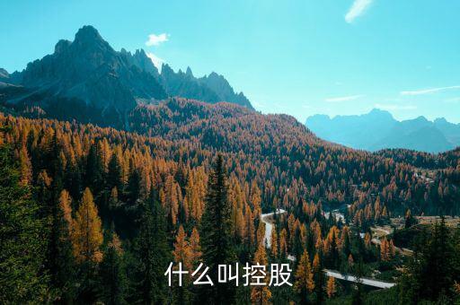 什么是控股關系，什么叫控股