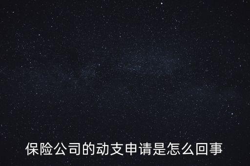 什么是動支申請，怎么樣支申請