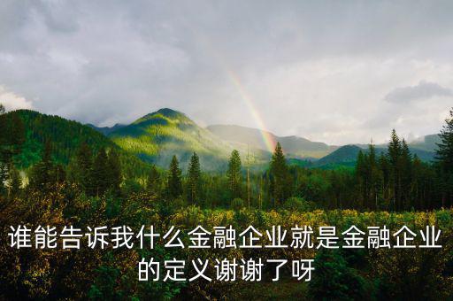 什么是金融企業(yè)，請問什么是金融企業(yè)呢或金融企業(yè)具體做什么負(fù)責(zé)什么啊