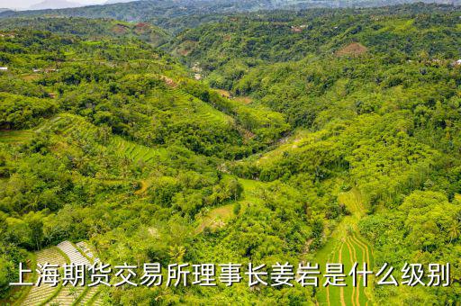 上交所理事長什么級別，上海期貨交易所理事長姜巖是什么級別