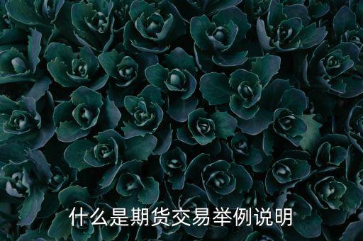 期權(quán)期貨是什么意思，期權(quán)與期貨是什么意思