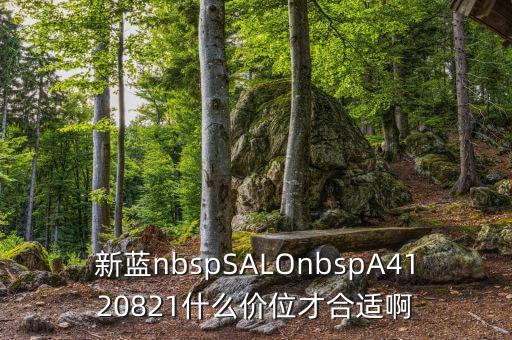 久遠(yuǎn)銀海什么價(jià)位才賣，新藍(lán)nbspSALOnbspA4120821什么價(jià)位才合適啊