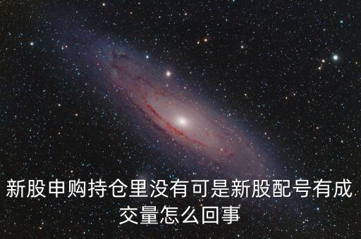 新股申購持倉里沒有可是新股配號有成交量怎么回事