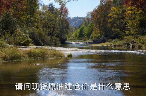 請(qǐng)問(wèn)現(xiàn)貨原油建倉(cāng)價(jià)是什么意思