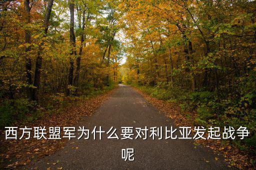 歐債危機(jī)下的法國為什么要發(fā)動利比亞戰(zhàn)爭，西方聯(lián)盟軍為什么要對利比亞發(fā)起戰(zhàn)爭呢