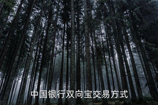 中國(guó)銀行雙向?qū)毷鞘裁?，中?guó)銀行雙向?qū)殬I(yè)務(wù)詳細(xì)介紹