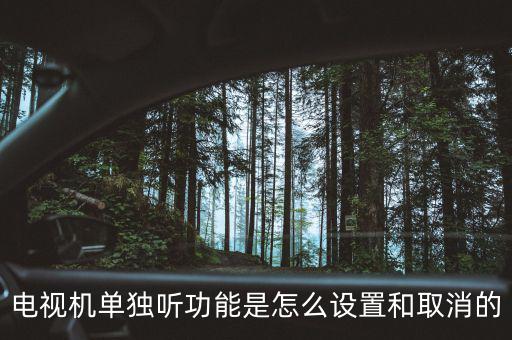 tcl電視單獨聽什么意思，電視機單獨聽功能是怎么設置和取消的