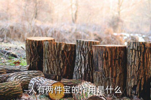 什么是經(jīng)紀(jì)寶，人有兩件寶的作用是什么