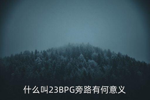 什么叫23BPG旁路有何意義