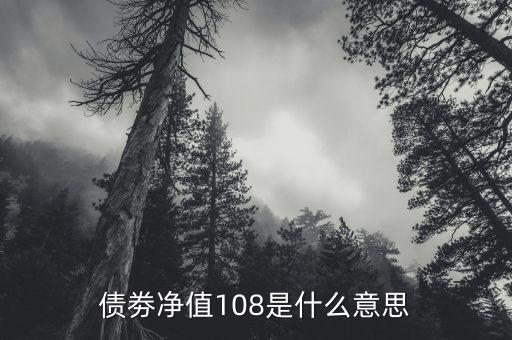 債券凈值是什么意思，債劵凈值108是什么意思