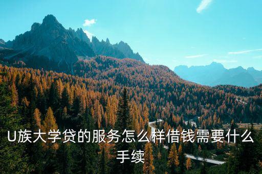 u族貸款需要什么，在U族大學(xué)貸借錢有啥要求