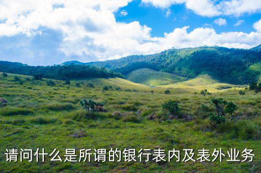 請(qǐng)問什么是所謂的銀行表內(nèi)及表外業(yè)務(wù)