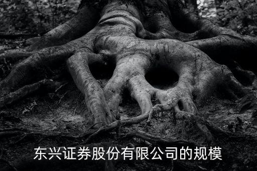 東興證券為什么是龍頭，東興證券這家證券公司怎么樣